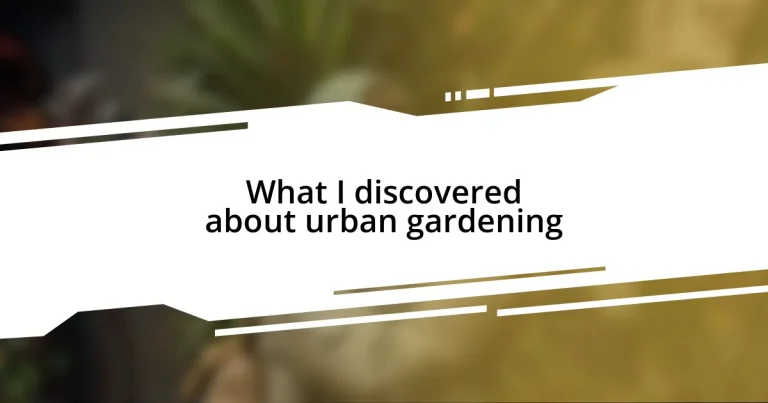 What I discovered about urban gardening