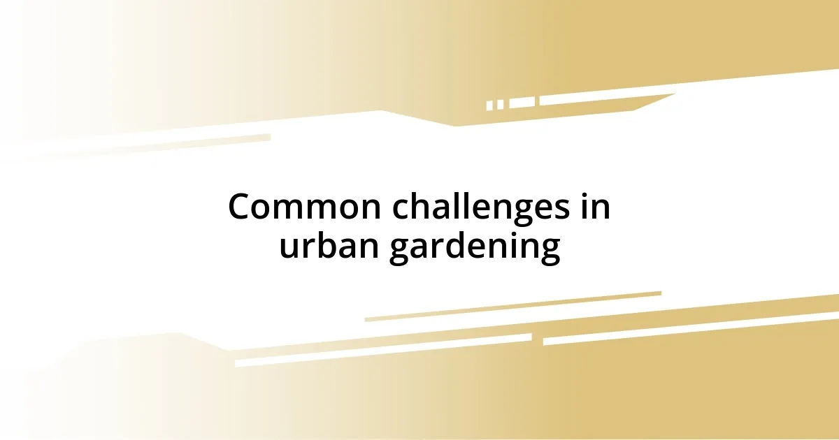 Common challenges in urban gardening